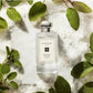 Wood Sage & Sea Salt Cologne, 3.4-Oz.