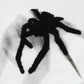 Men's Spider Graphic Oversized Hoodie with Side Button Details