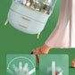 Box Organizer