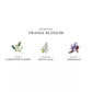 Orange Blossom Cologne, 3.4-Oz.