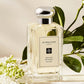 Orange Blossom Cologne, 3.4-Oz.
