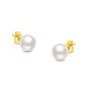 14K Gold Round White Saltwater Akoya Cultured Pearl Stud Earrings AAA+ Quality - Choice of MM Size